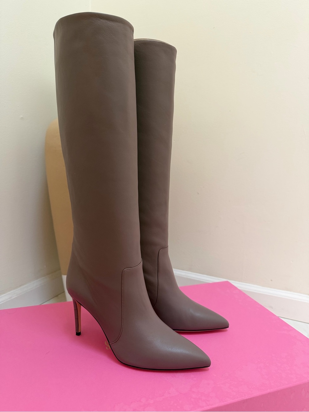 Brand New! Paris Texas Tall Over-The-Knee Pointed Boots in Taupe